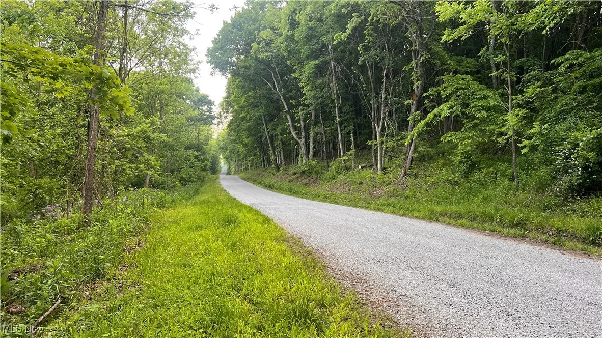 Mcafee Road, Wooster, Ohio,MLS Now Listing ID