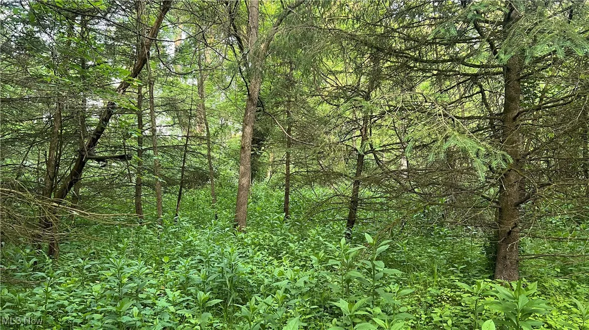 Mcafee Road, Wooster, Ohio,MLS Now Listing ID
