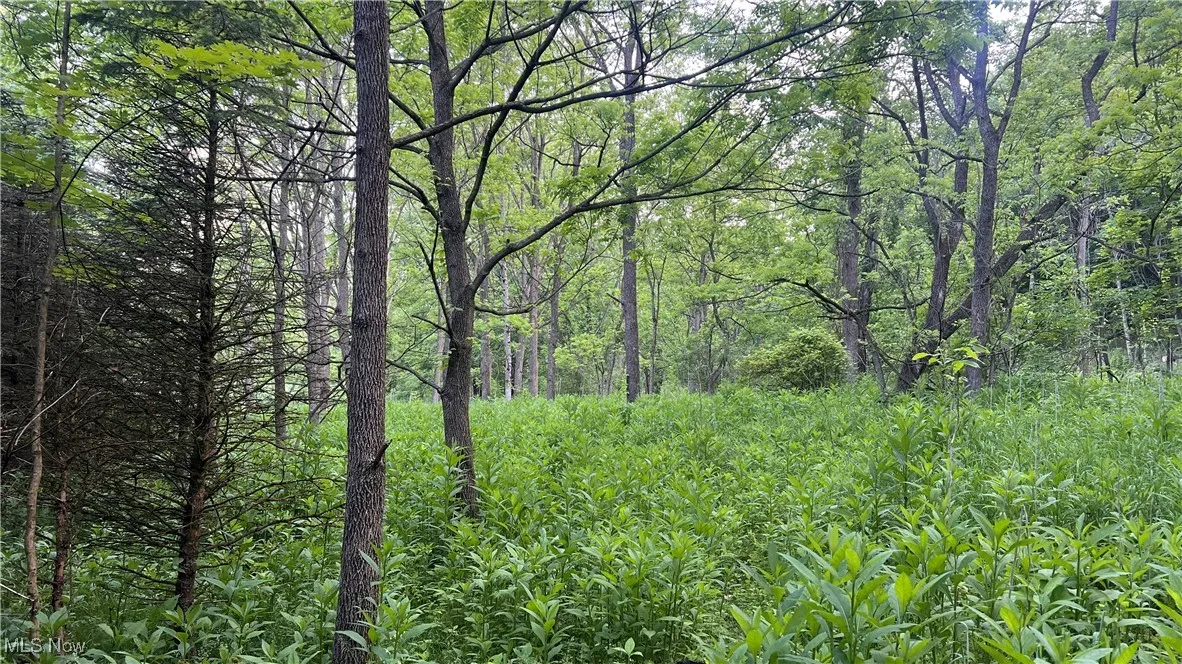 Mcafee Road, Wooster, Ohio,MLS Now Listing ID