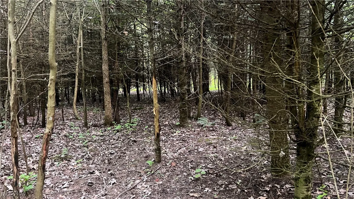 Mcafee Road, Wooster, Ohio,MLS Now Listing ID