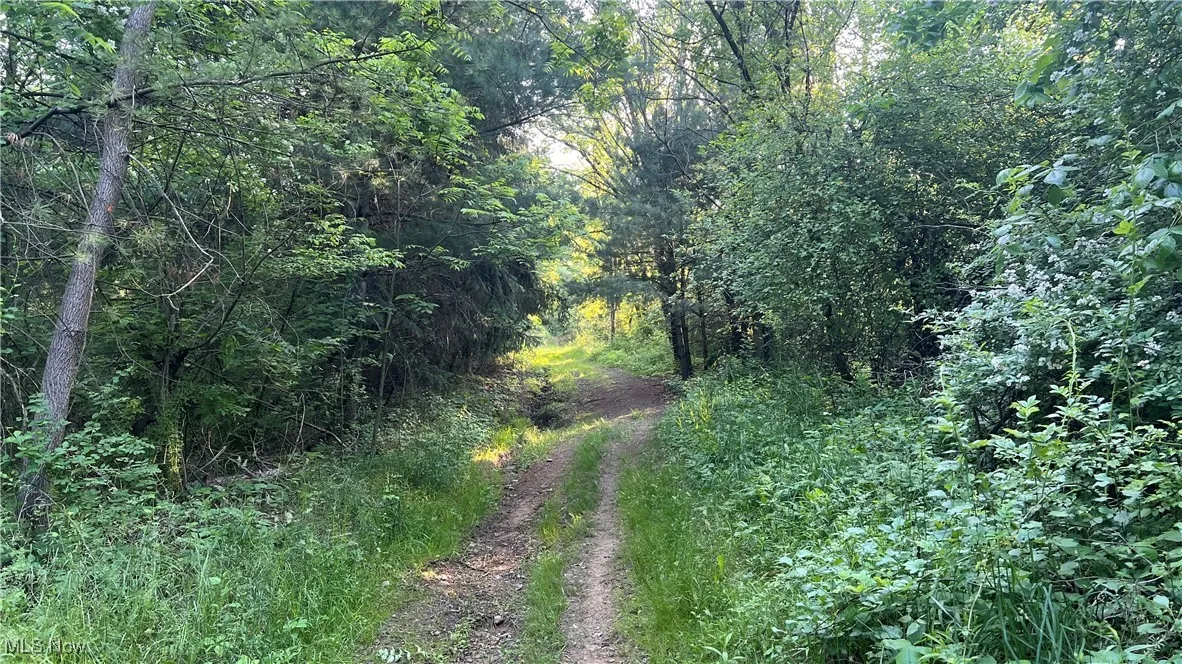 Mcafee Road, Wooster, Ohio,MLS Now Listing ID