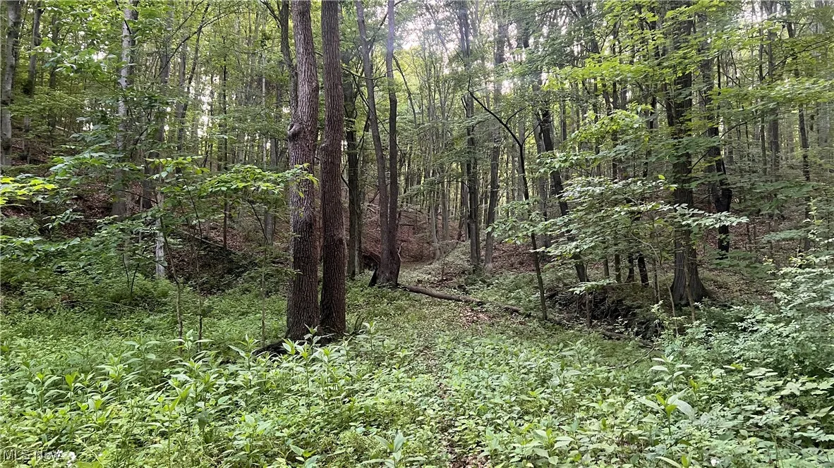 Mcafee Road, Wooster, Ohio,MLS Now Listing ID