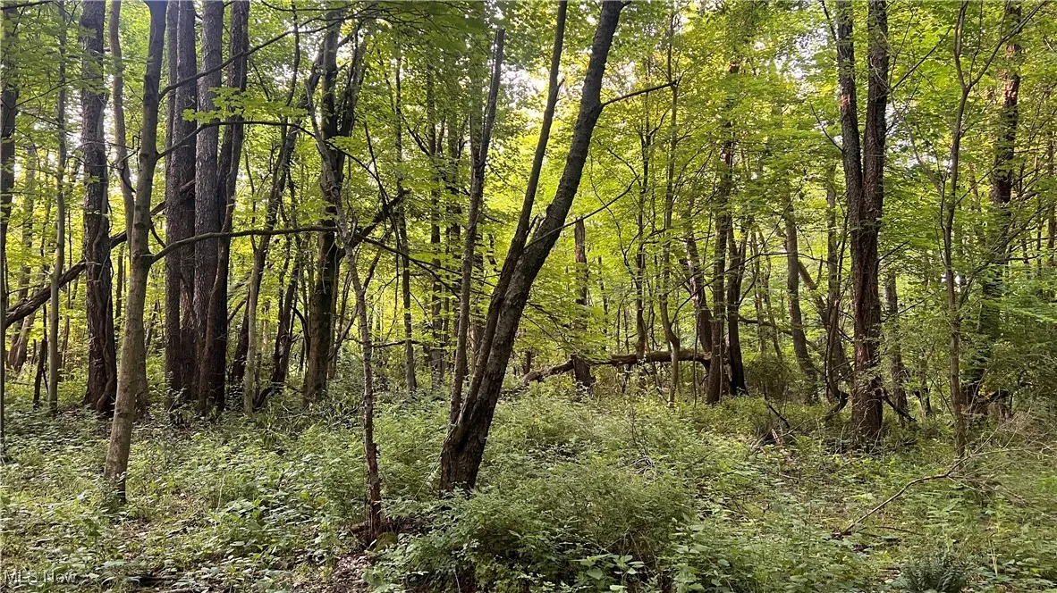 Mcafee Road, Wooster, Ohio,MLS Now Listing ID