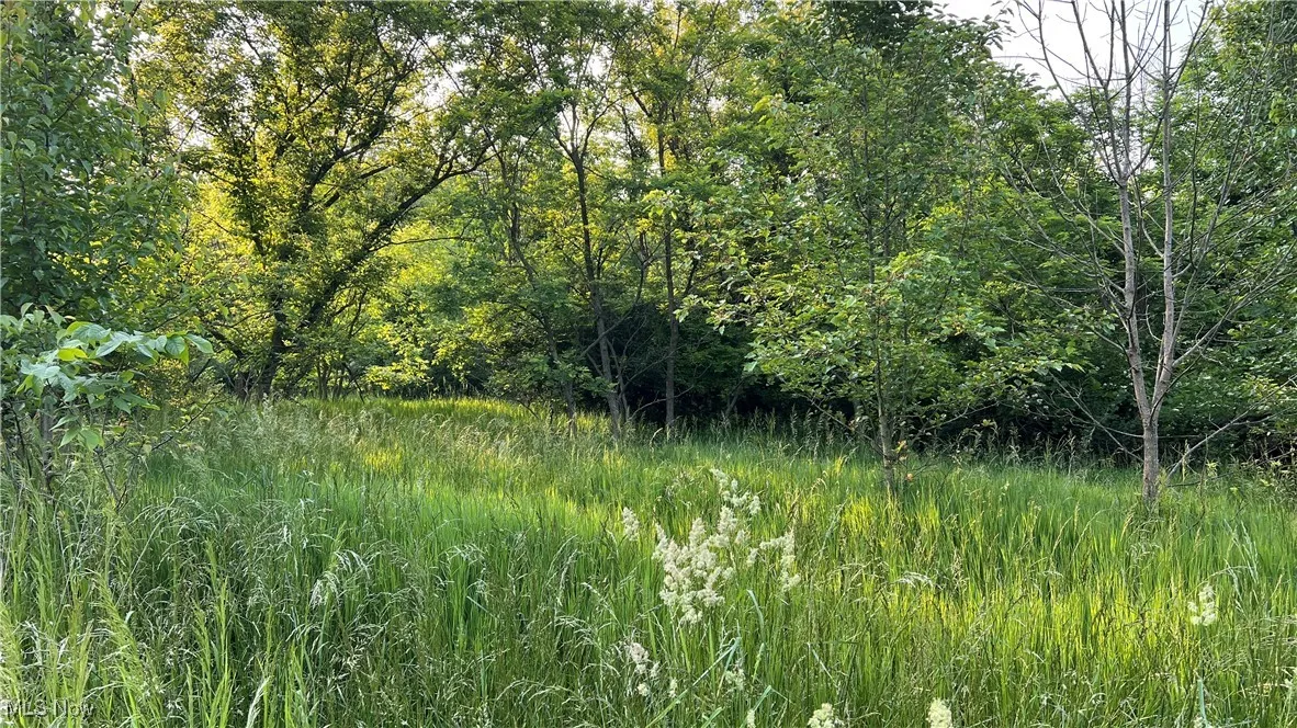 Mcafee Road, Wooster, Ohio,MLS Now Listing ID