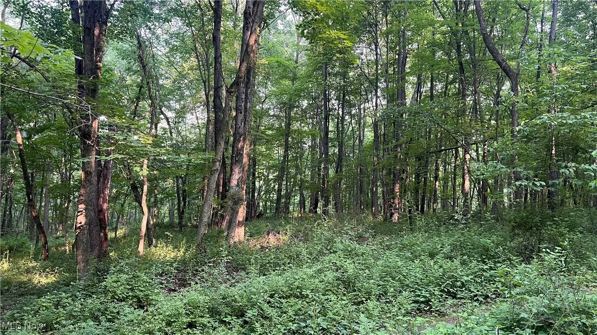 Mcafee Road, Wooster, Ohio,MLS Now Listing ID