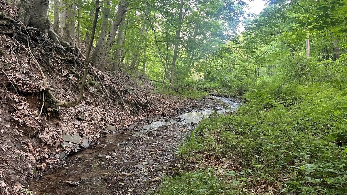 Mcafee Road, Wooster, Ohio,MLS Now Listing ID