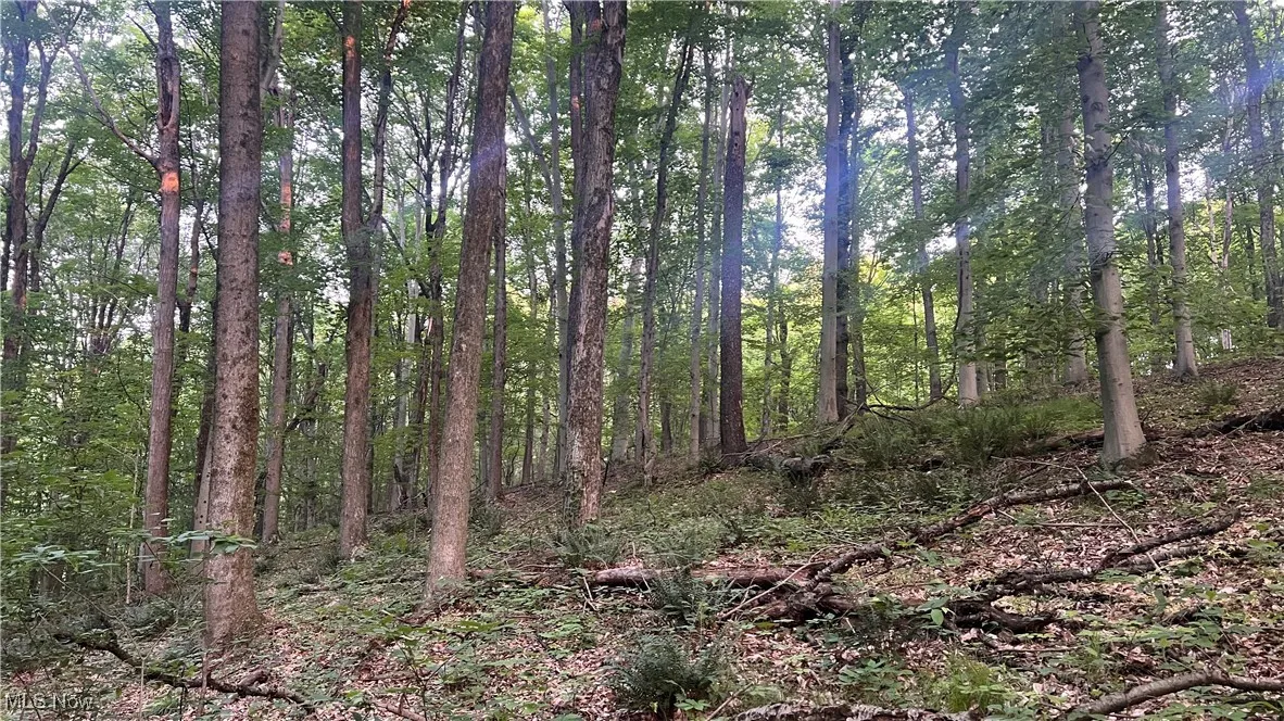 Mcafee Road, Wooster, Ohio,MLS Now Listing ID