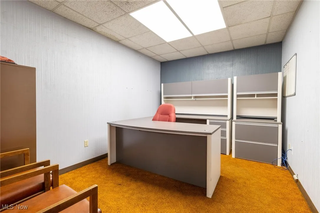 Office with light carpet and a drop ceiling