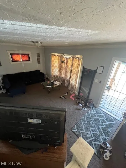 Living room featuring carpet floors, ornamental molding, and a textured ceiling