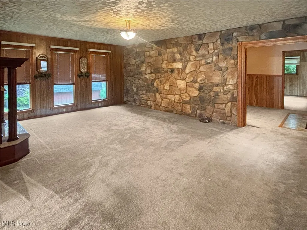Unfurnished living room featuring wood walls and carpet flooring