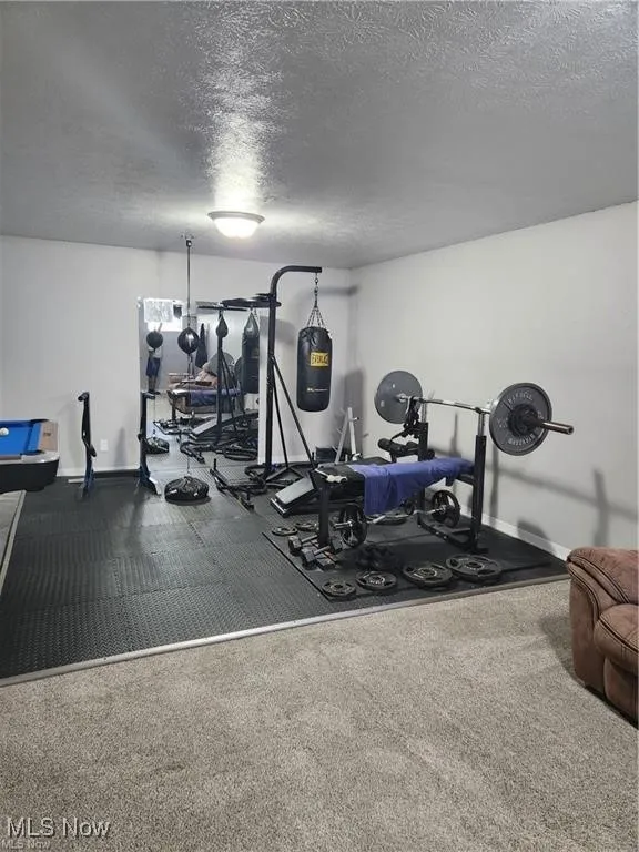 Exercise room featuring a textured ceiling and carpet floors