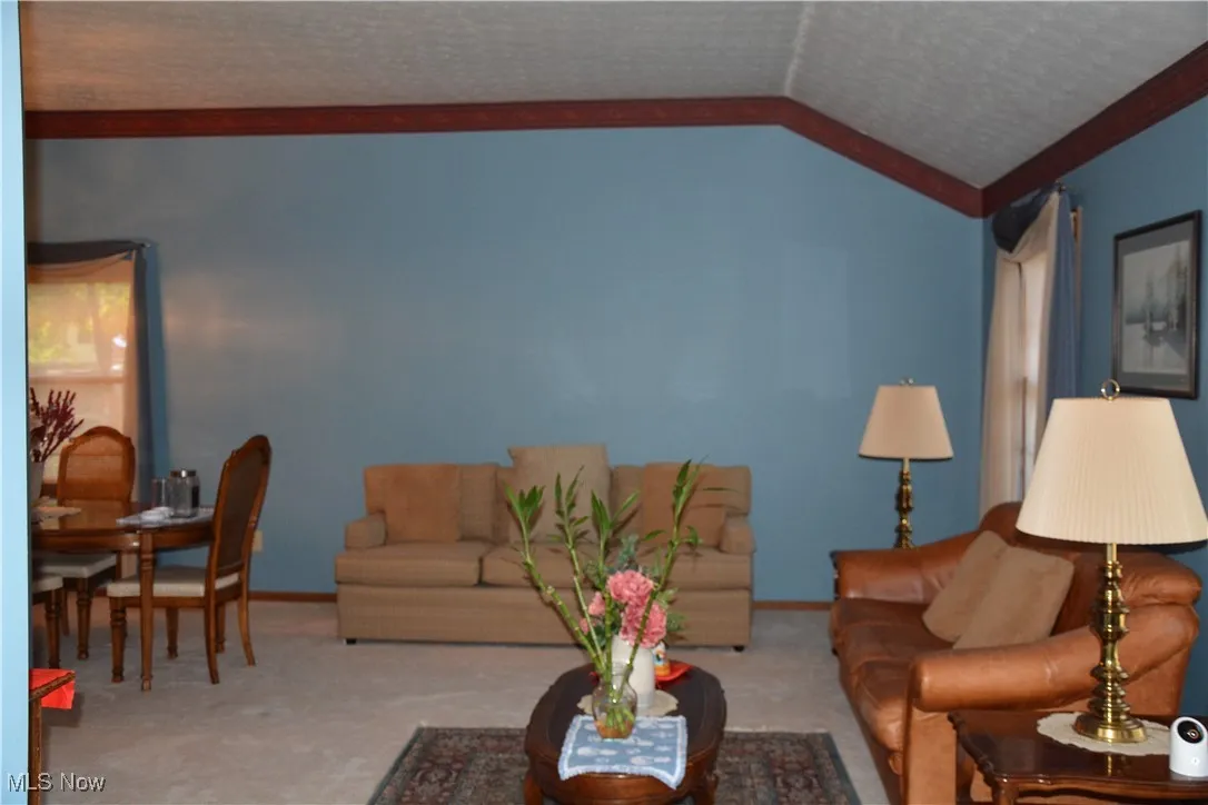 Carpeted living area featuring crown molding and lofted ceiling