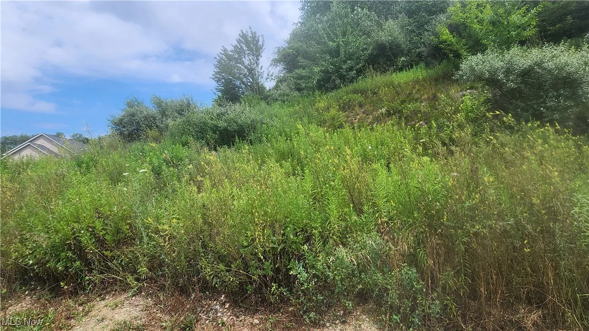 View of undeveloped land