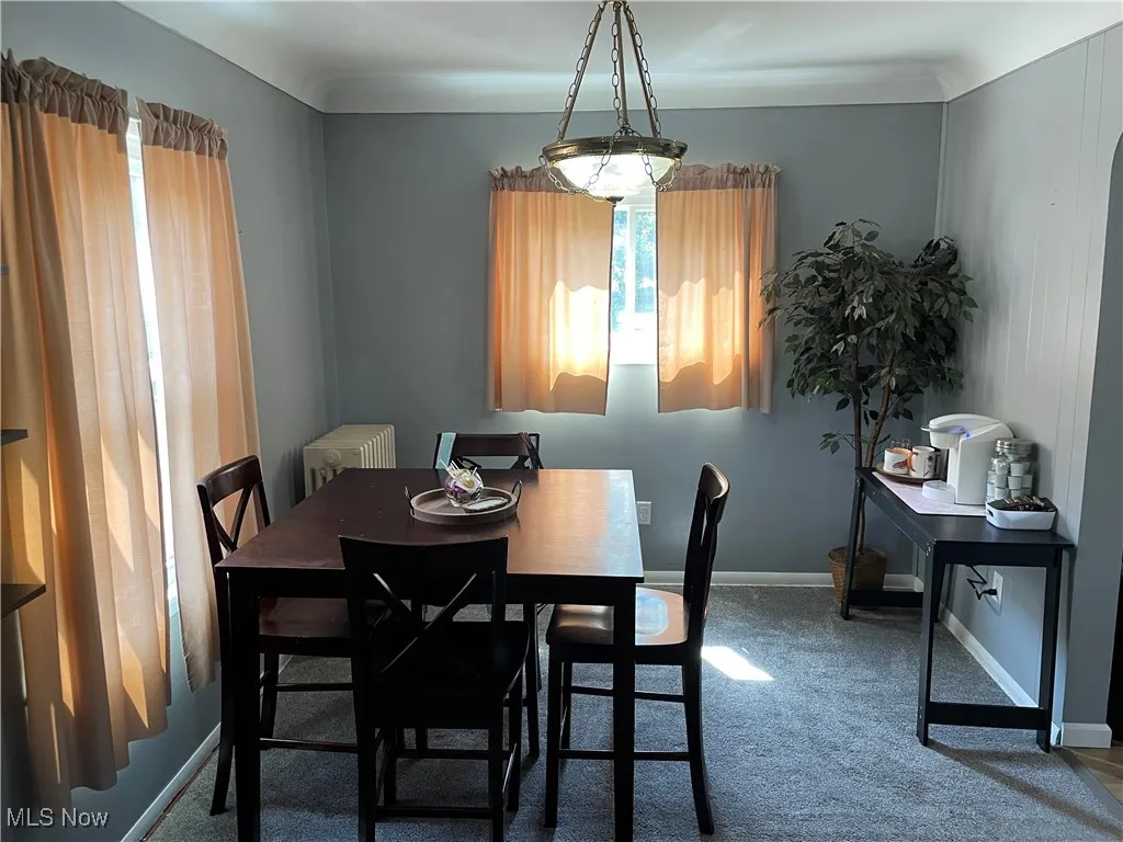 Carpeted dining space with radiator and baseboards