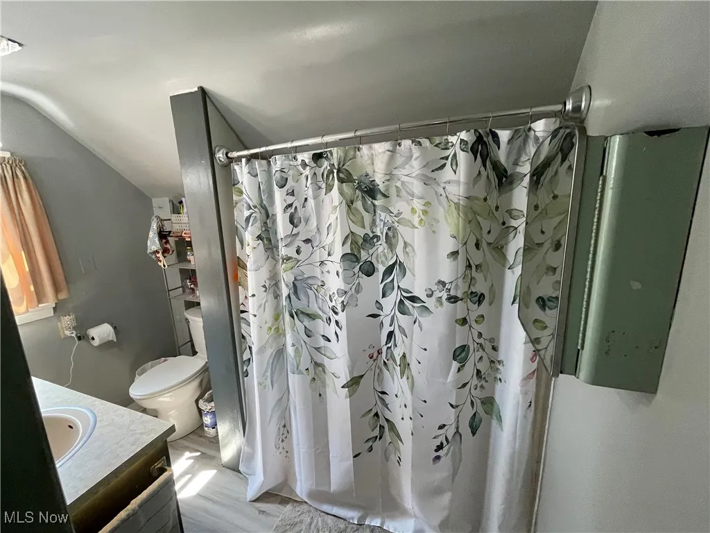 Full bathroom featuring vanity, curtained shower, and vaulted ceiling