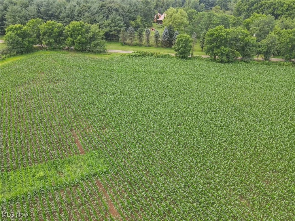 View of green lawn featuring agricultural area and a view of rural / pastoral area