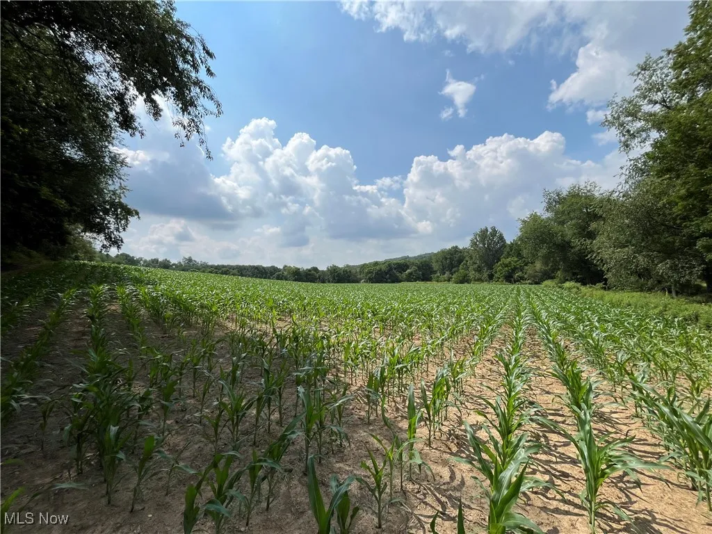 View of undeveloped land featuring rows of crops and rural landscape