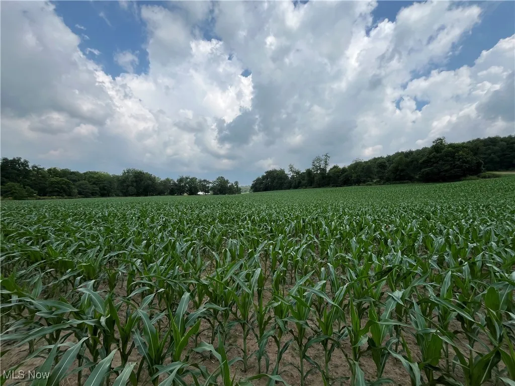 View of undeveloped land with large plots for crops and rural landscape