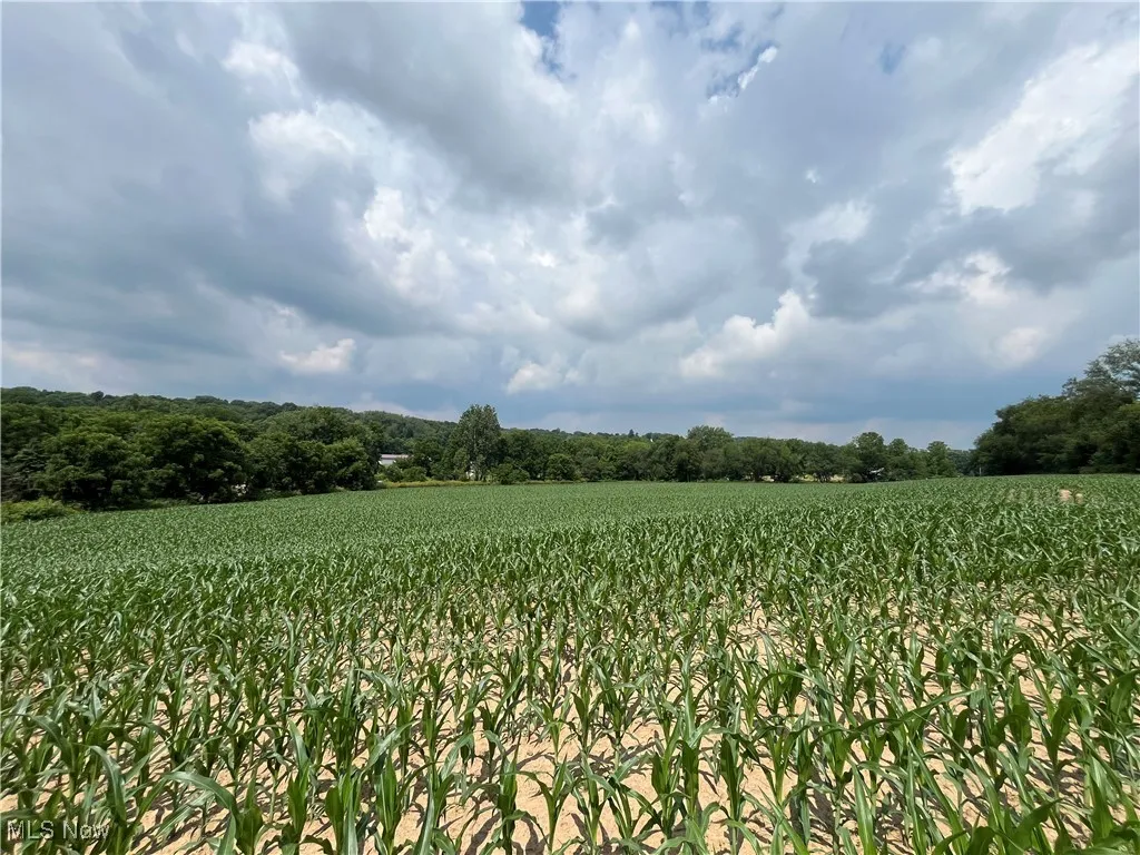 View of nature featuring abundant farmland and rural landscape