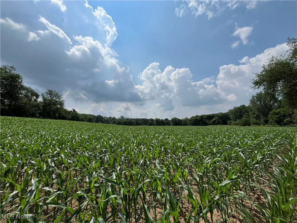 View of local wilderness featuring farmland and rural landscape