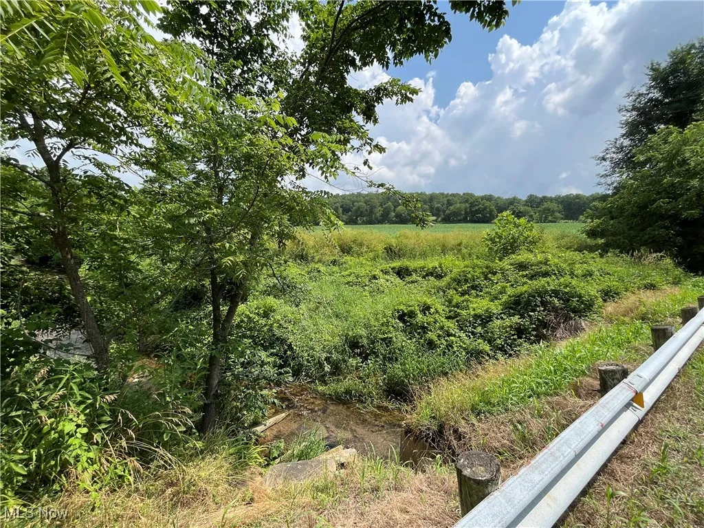View of local wilderness