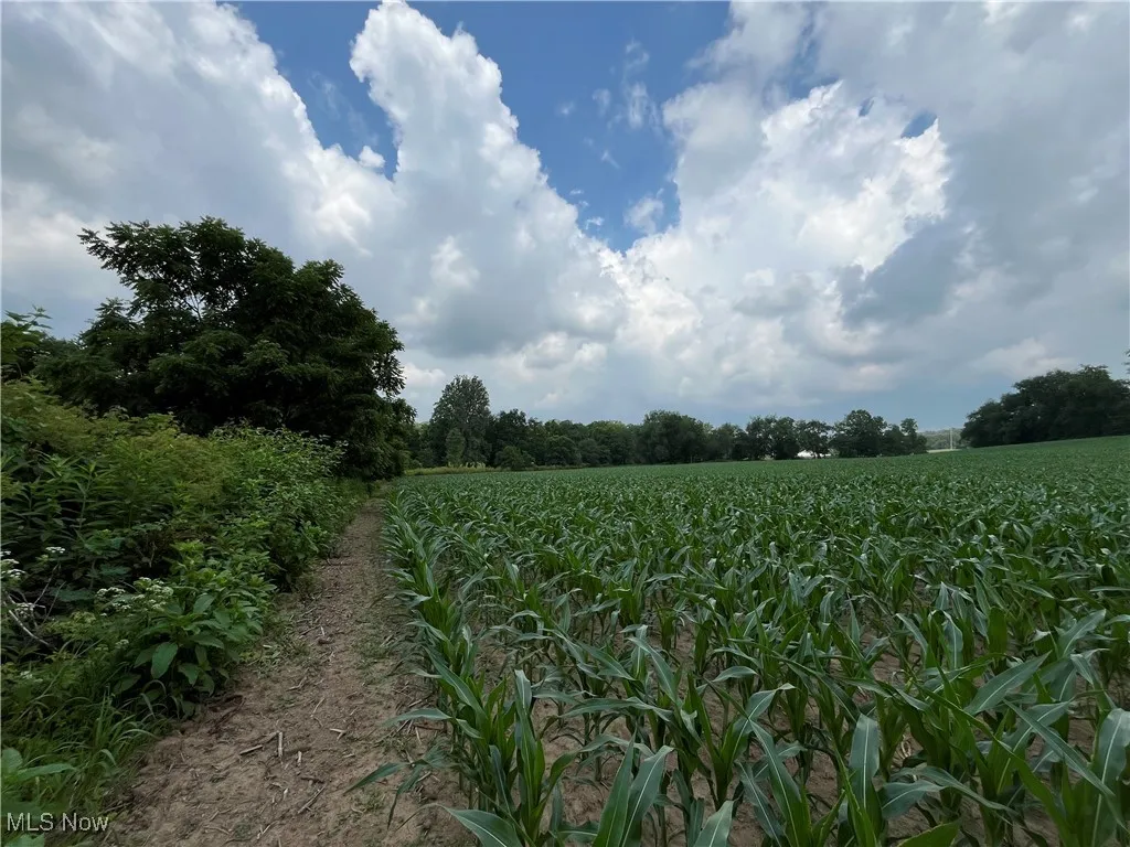 View of nature with abundant farmland and rural landscape