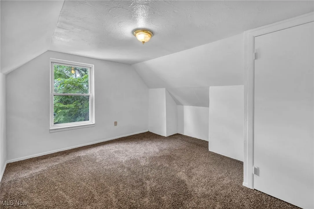Additional living space featuring carpet flooring, lofted ceiling, and a textured ceiling