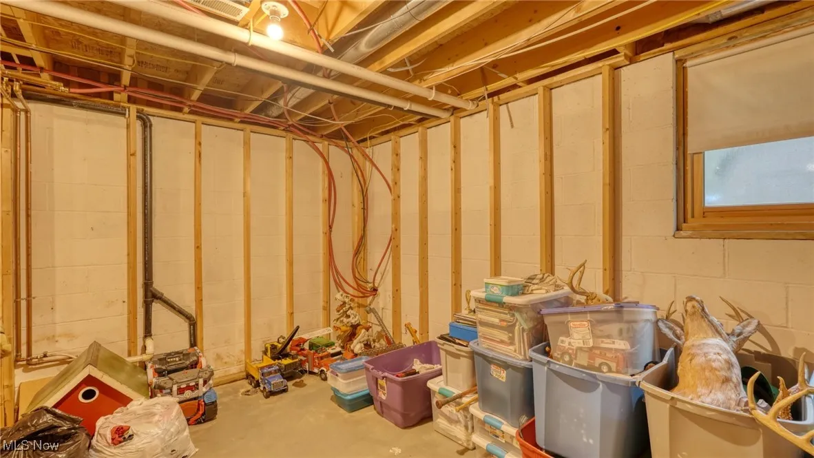 Unfinished below grade area with concrete block wall