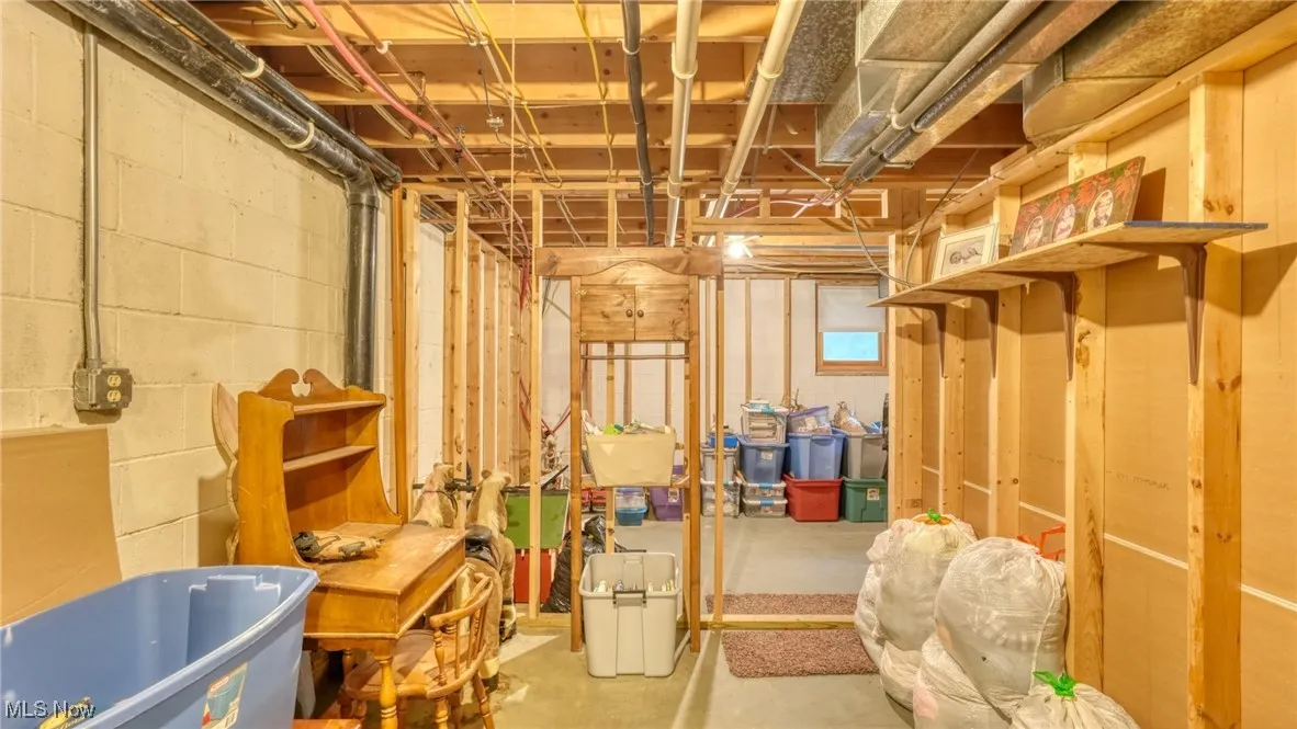 Unfinished basement featuring concrete block wall