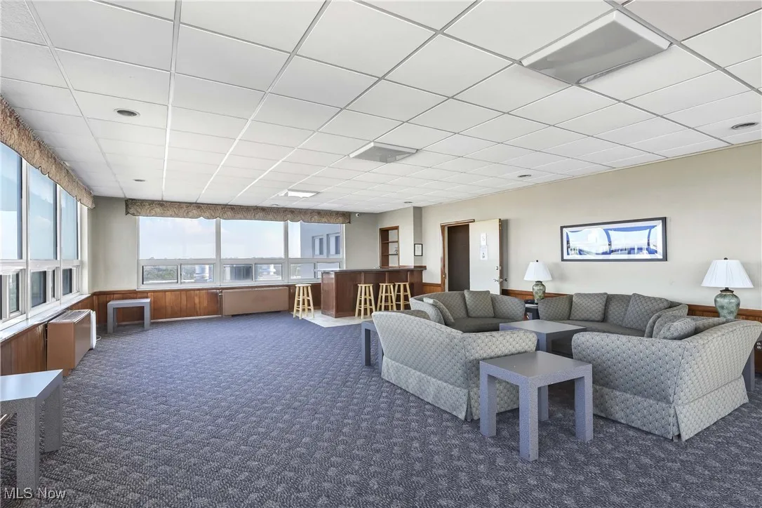 Living area featuring carpet floors