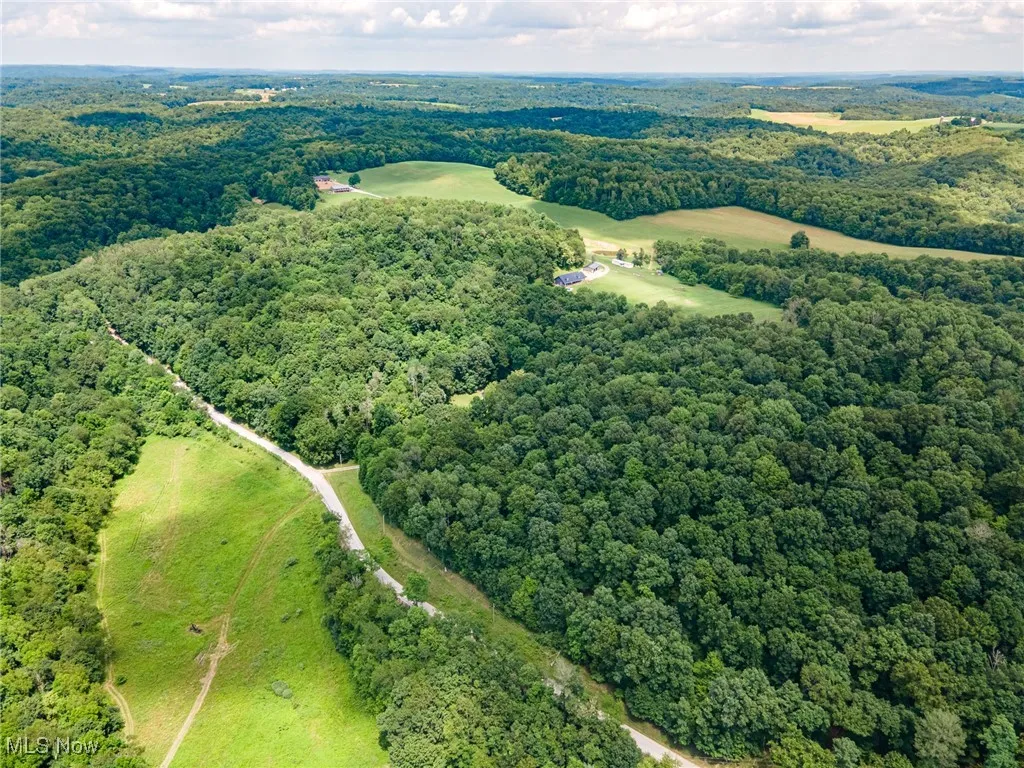Drone / aerial view of a heavily wooded area