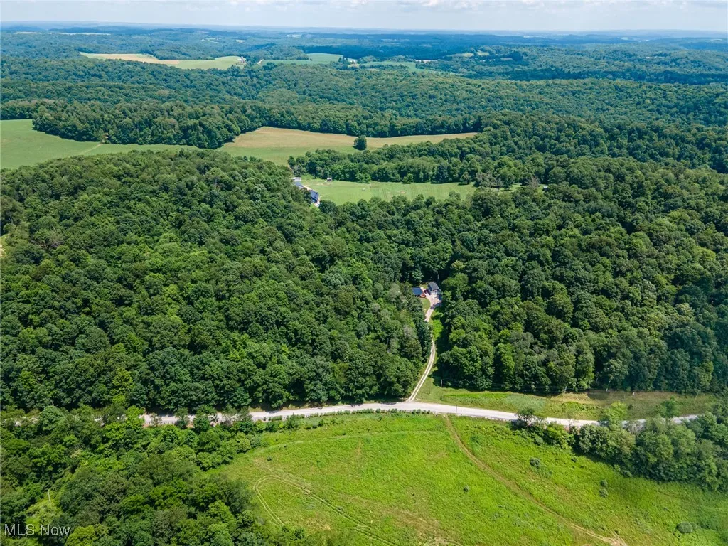 Drone / aerial view of a heavily wooded area