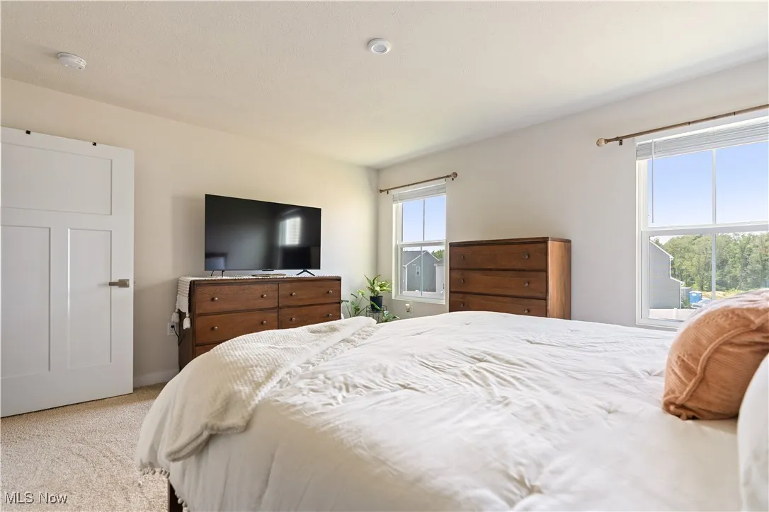 Bedroom featuring multiple windows and carpet flooring
