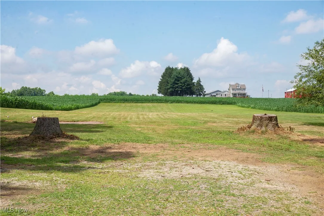 View of grassy yard featuring a view of rural / pastoral area
