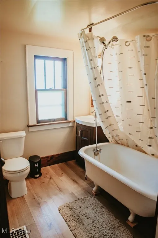 Bathroom featuring wood finished floors and vanity