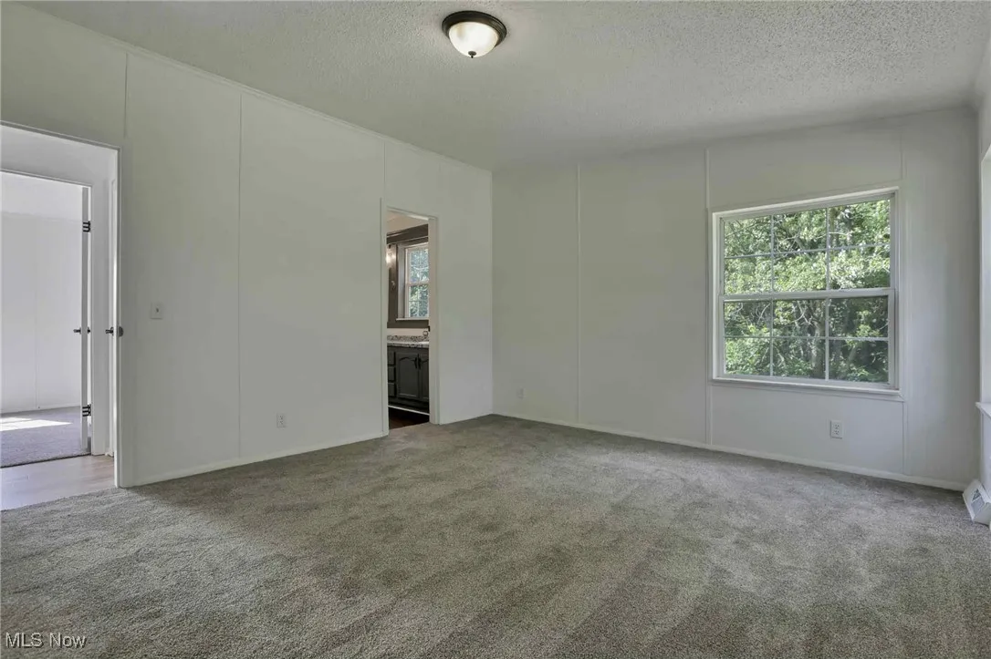 Empty room featuring carpet floors and a textured ceiling