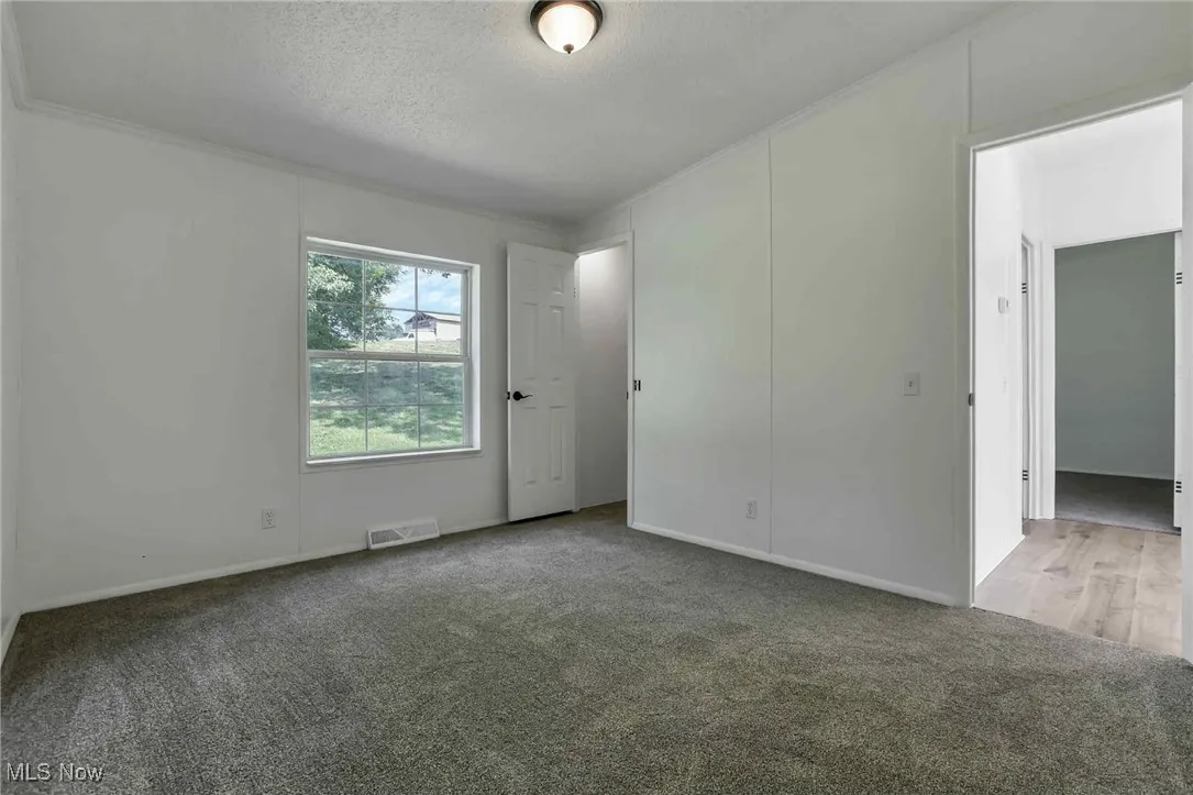 Spare room featuring carpet, a textured ceiling, and ornamental molding