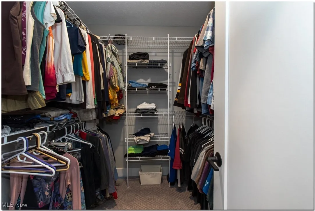 Walk In closet with custom shelving