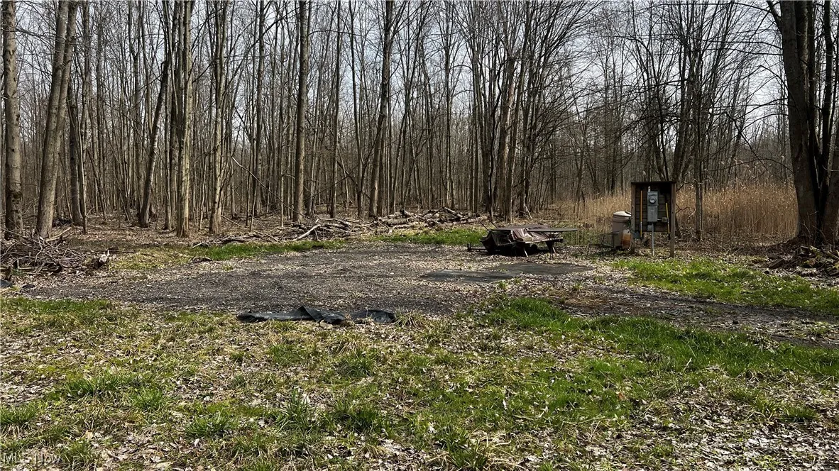 3222 Black Sea Road, Dorset, Ohio,MLS Now Listing ID