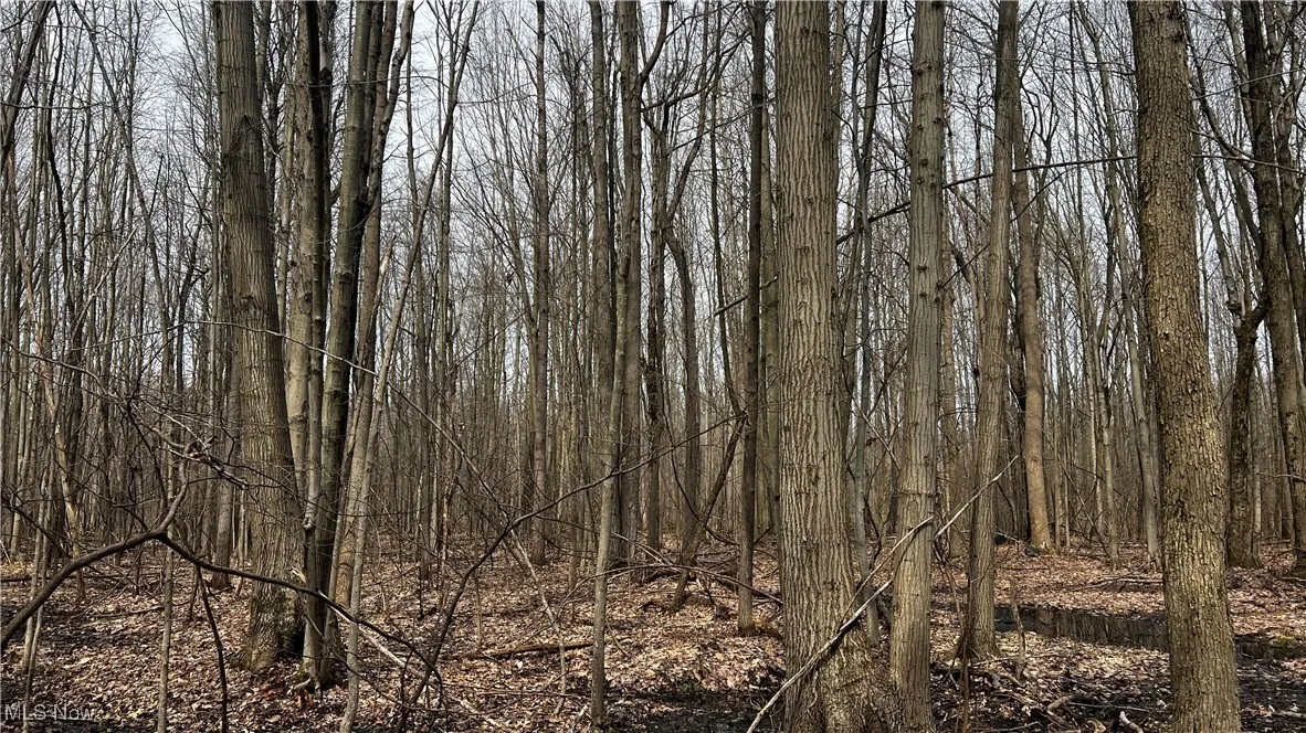 3222 Black Sea Road, Dorset, Ohio,MLS Now Listing ID