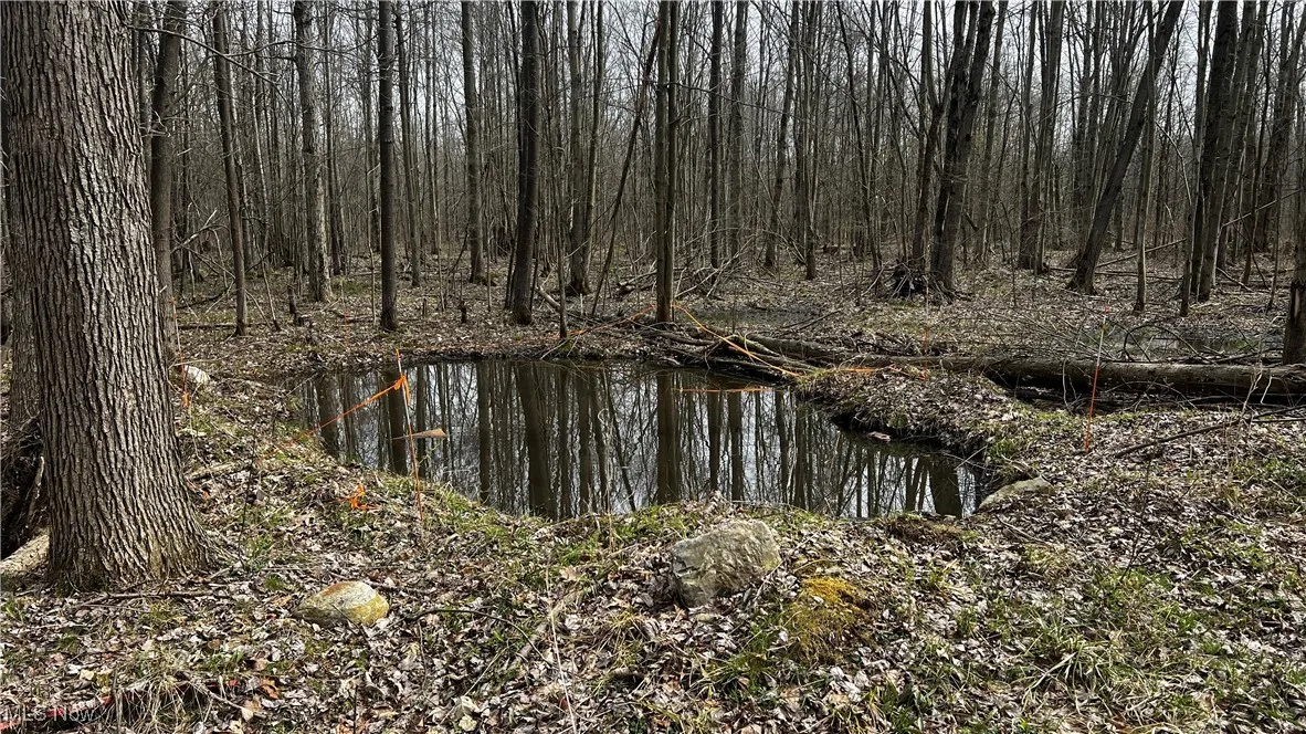 3222 Black Sea Road, Dorset, Ohio,MLS Now Listing ID