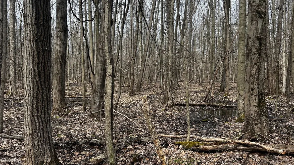 3222 Black Sea Road, Dorset, Ohio,MLS Now Listing ID