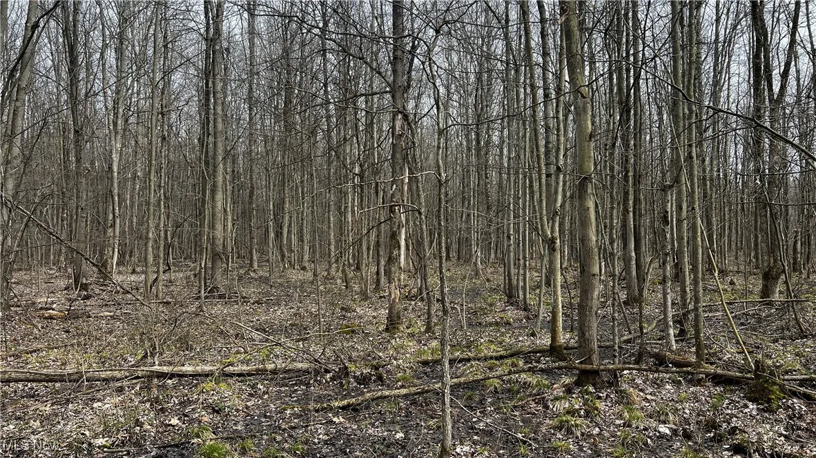 3222 Black Sea Road, Dorset, Ohio,MLS Now Listing ID