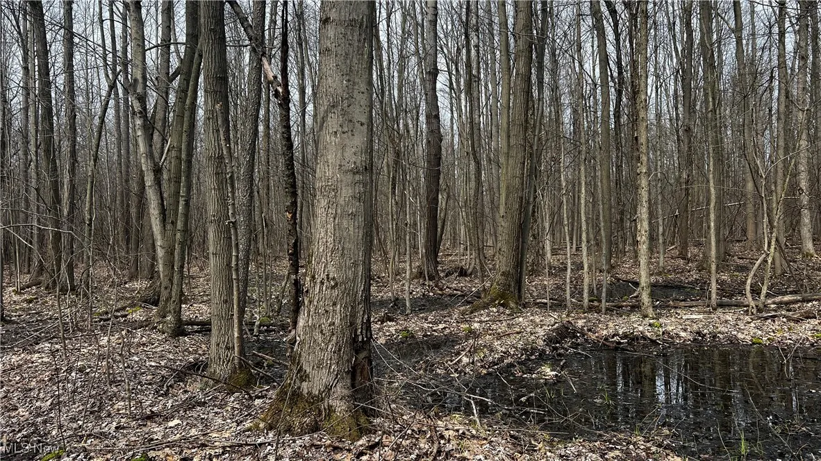 3222 Black Sea Road, Dorset, Ohio,MLS Now Listing ID