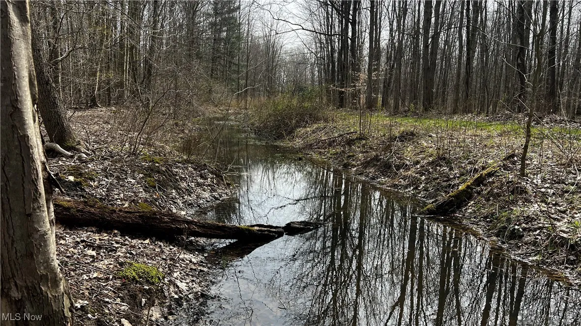 3222 Black Sea Road, Dorset, Ohio,MLS Now Listing ID