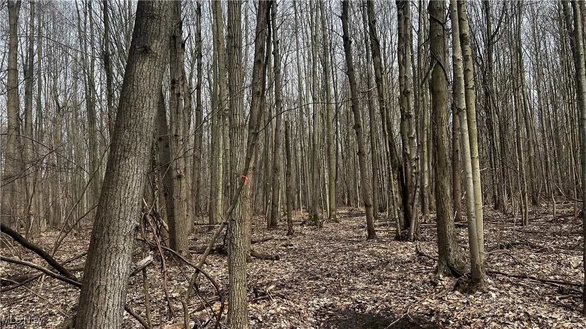 3222 Black Sea Road, Dorset, Ohio,MLS Now Listing ID