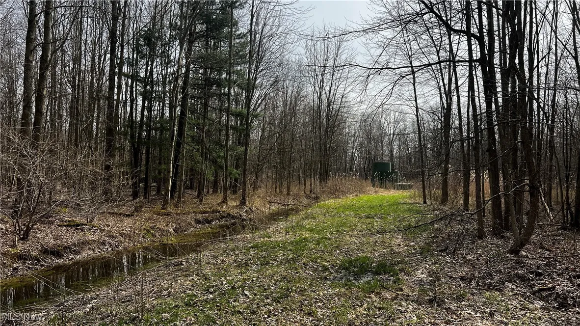 3222 Black Sea Road, Dorset, Ohio,MLS Now Listing ID