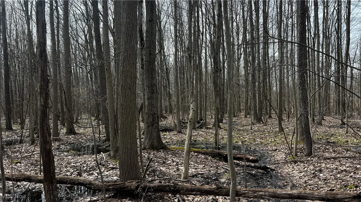 3222 Black Sea Road, Dorset, Ohio,MLS Now Listing ID
