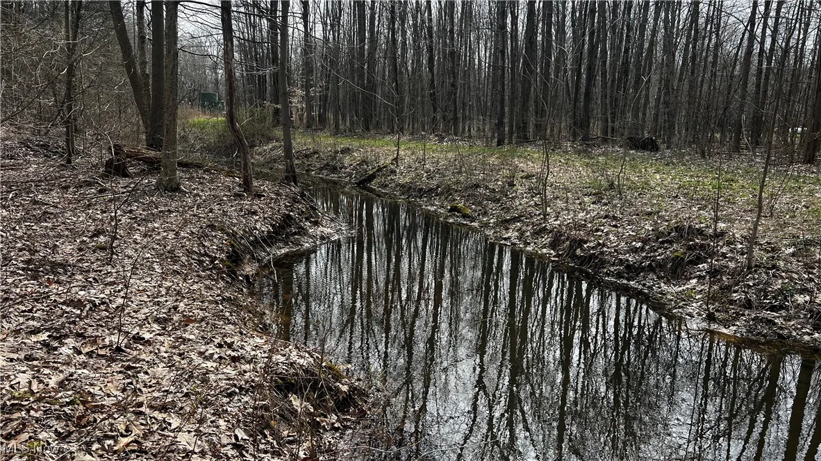 3222 Black Sea Road, Dorset, Ohio,MLS Now Listing ID