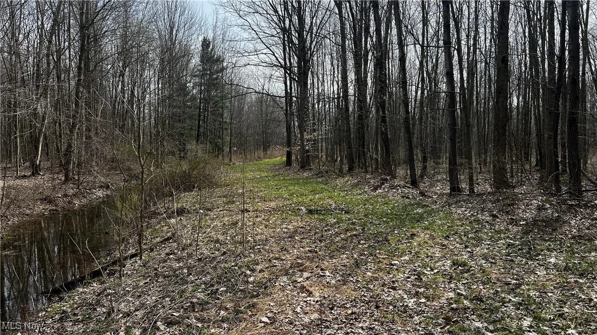 3222 Black Sea Road, Dorset, Ohio,MLS Now Listing ID